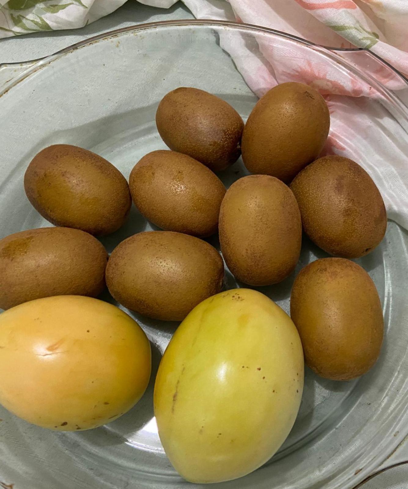 Pitaia E *